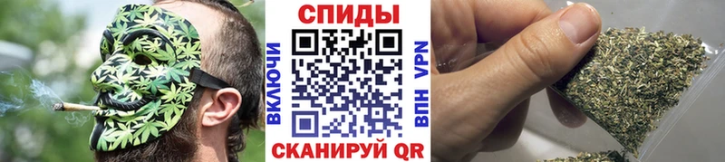 Бутират буратино Пермь